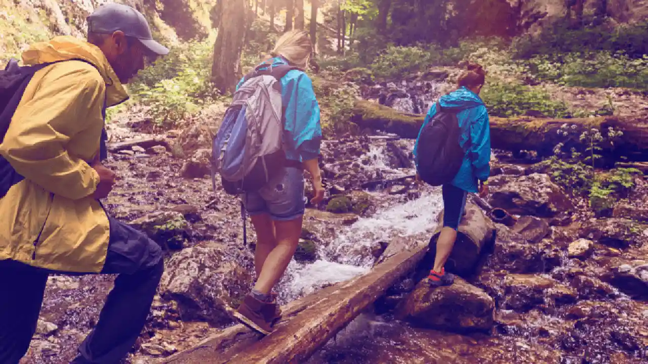 Close up on a plate of mashed potatoes, topped with baked pork chops with cream of mushroom soup, and a side of green beans.