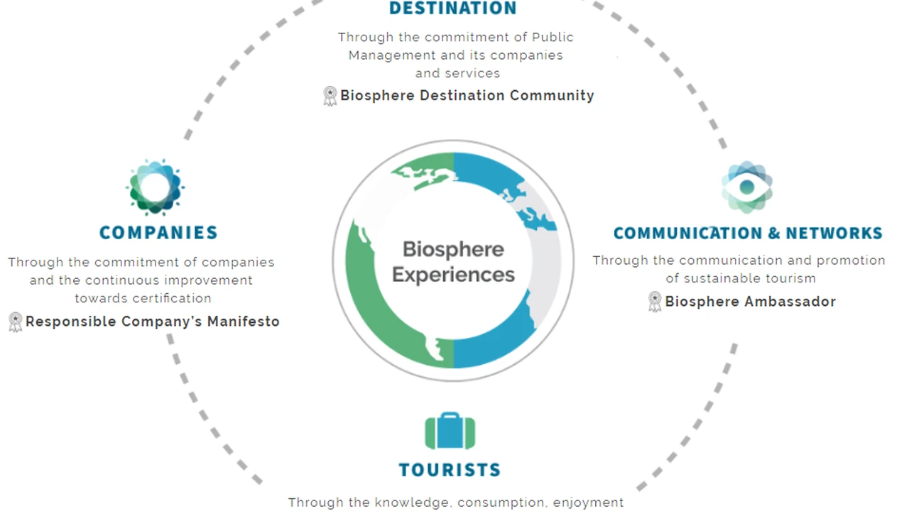 Easy, Two-Ingredient Pulled Pork