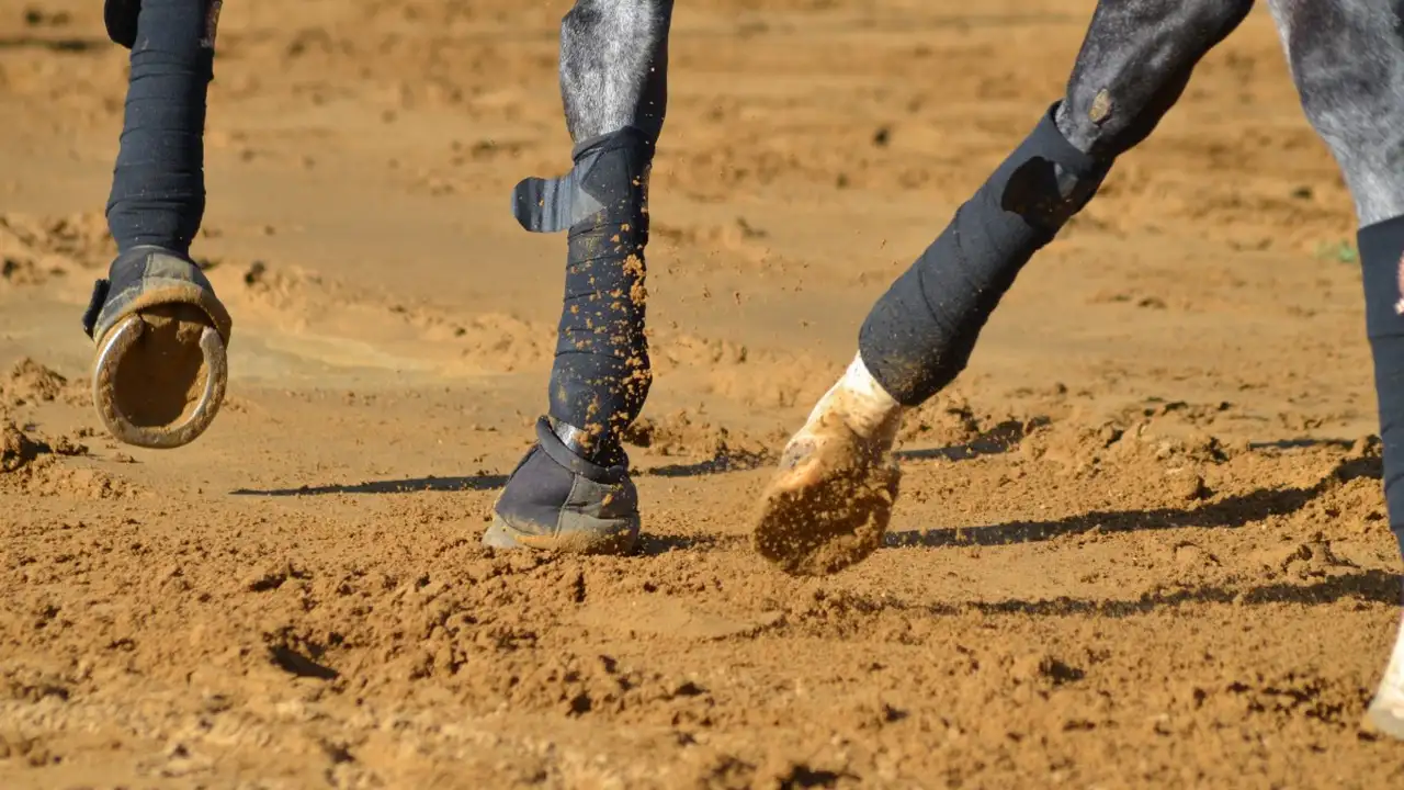 Close up on a plate of mashed potatoes, topped with baked pork chops with cream of mushroom soup, and a side of green beans.